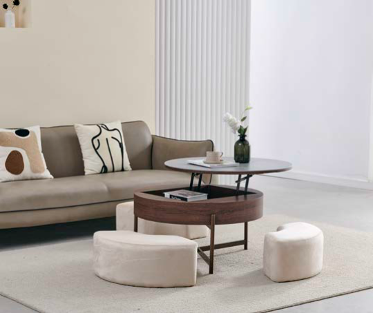 Coffee Table CT2425